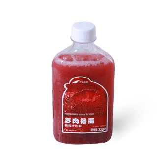 多肉杨梅