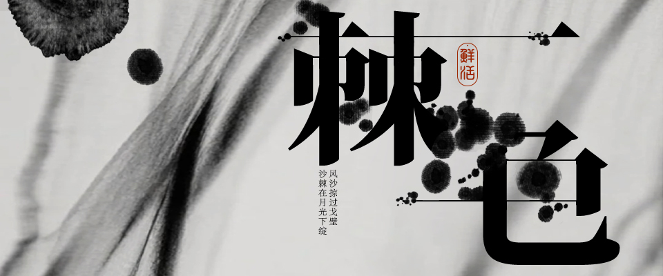 印象对话丨风沙掠过戈壁，沙棘在月光下绽开