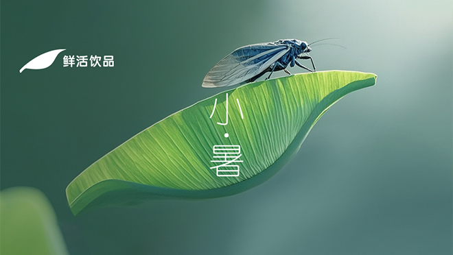 小暑丨风过檐角，夏浅情长