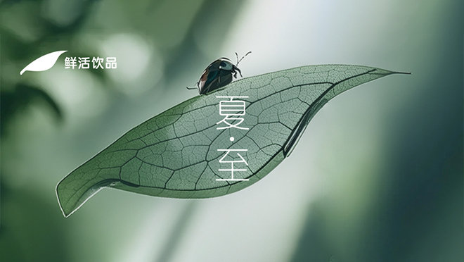 夏至丨晨露清响，向光而长