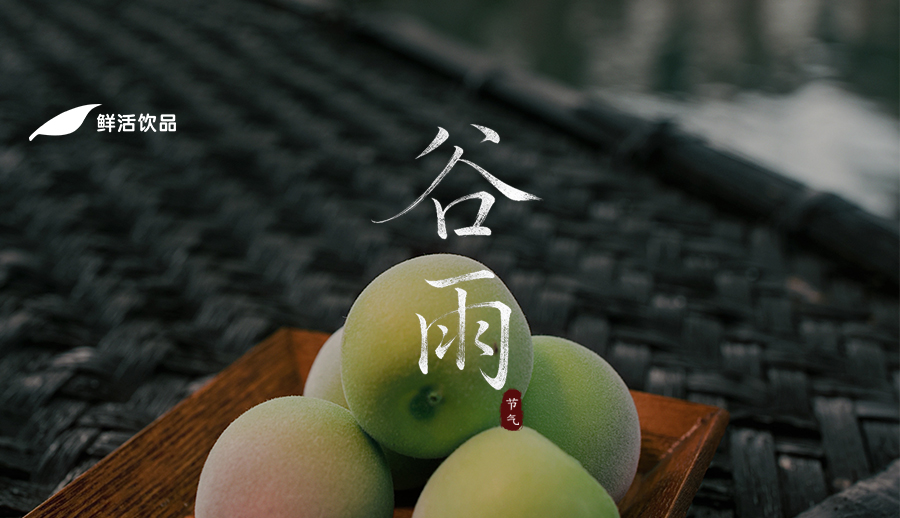 谷雨丨春川浮绿意