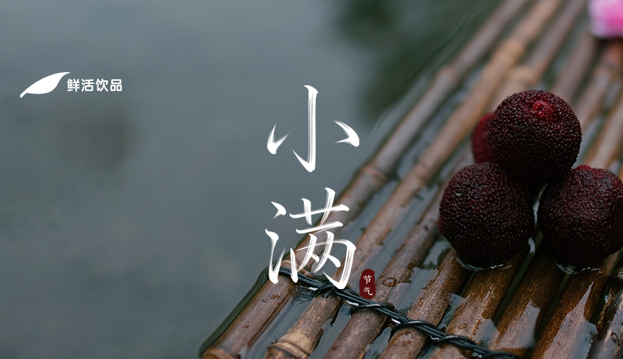 小满丨池平菱叶起