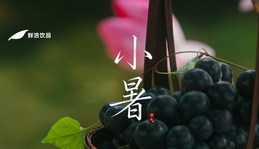 小暑丨温风至庭宇